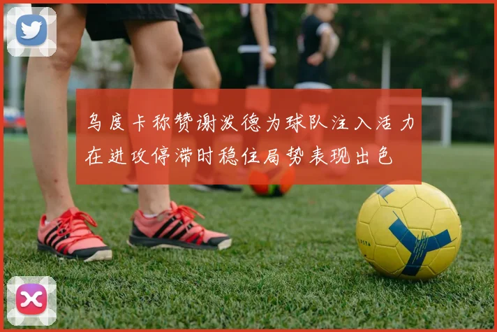 乌度卡称赞谢泼德为球队注入活力在进攻停滞时稳住局势表现出色